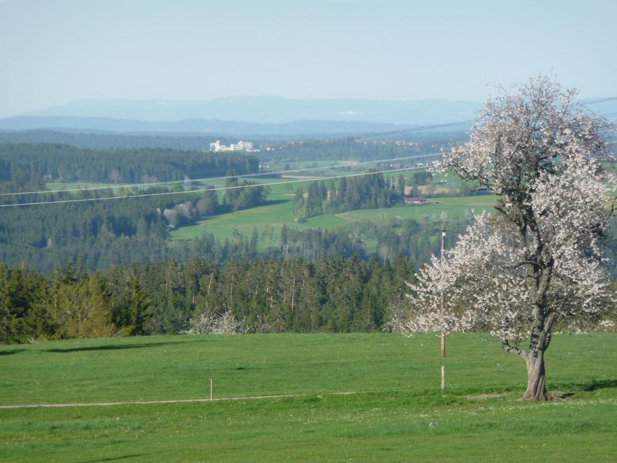 Hoehenpension Glashuette Bed&Breakfast Fruehstueckspension Hotel Garni Bonndorf im Schwarzwald Esterno foto